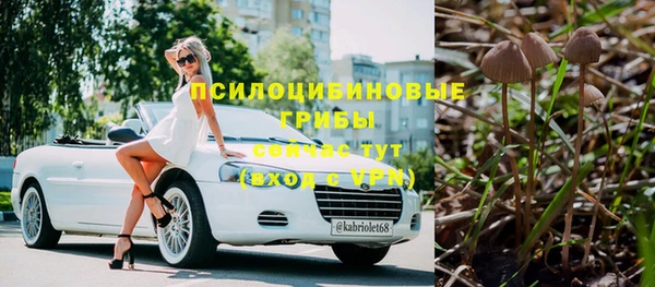круглые Аркадак